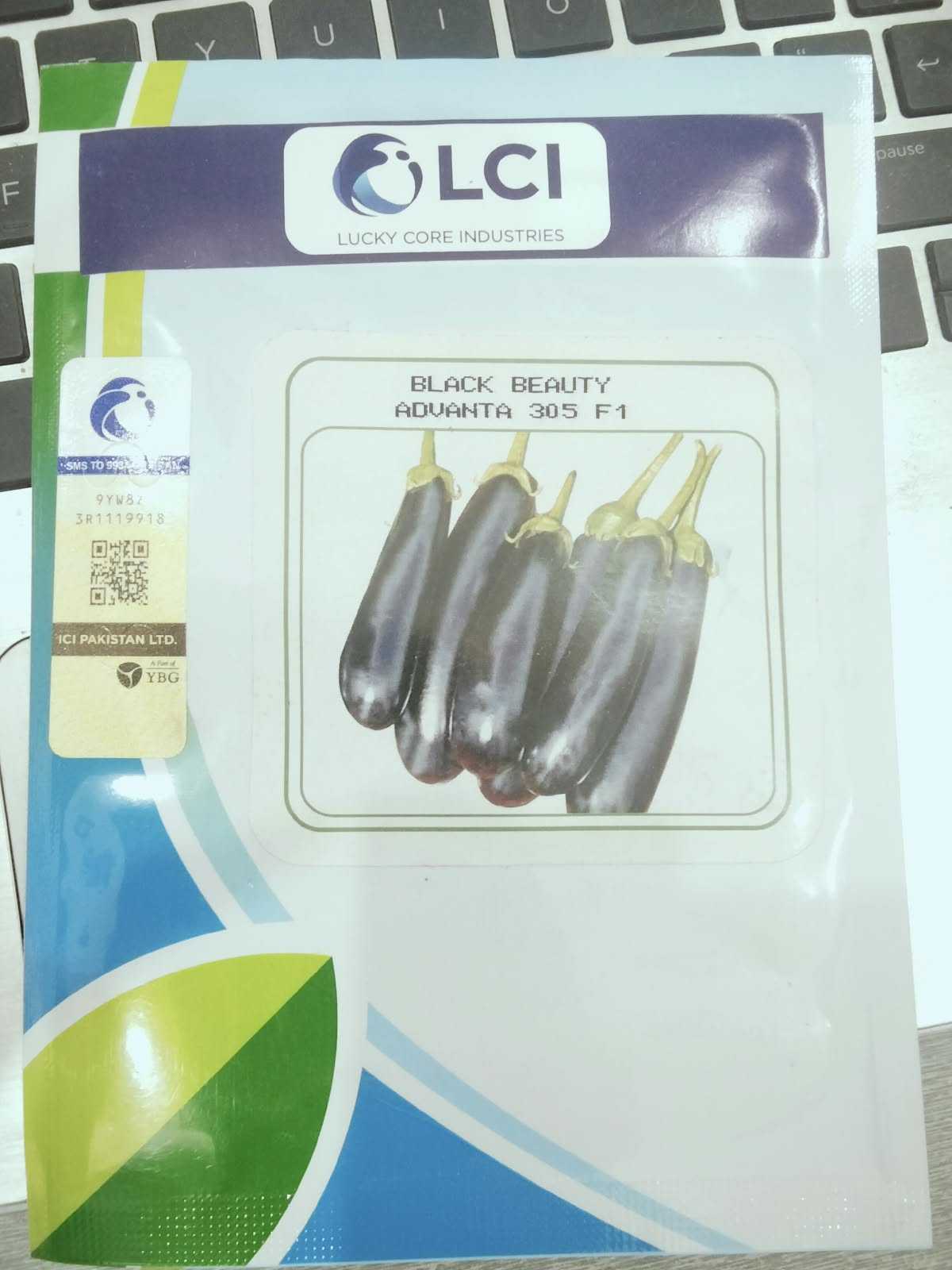 Eggplant Advanta 305 F1